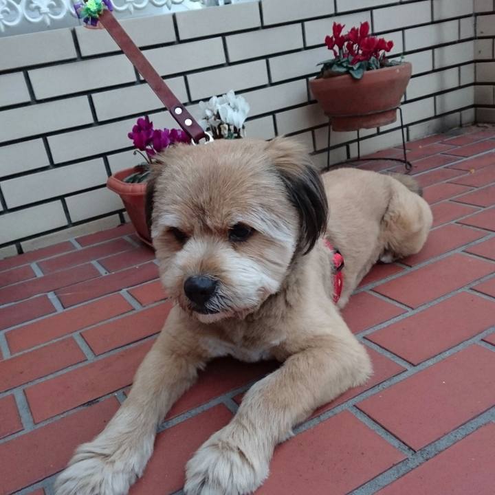 F992f314 22db 4abc aa5a b996f5af0849