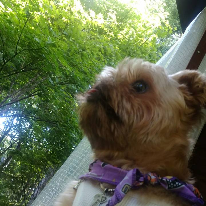 F9930331 26b5 471e ba47 2a27a5e7a74a