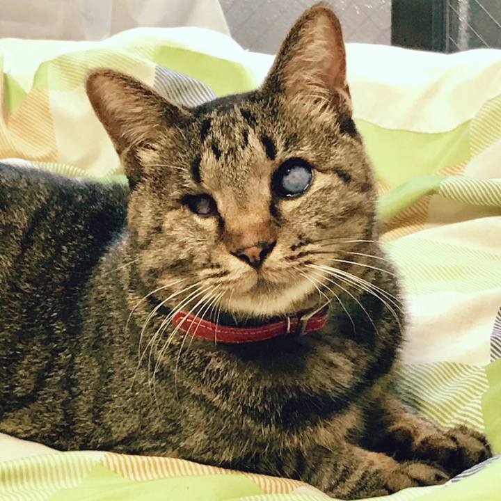 F993e312 218a 42eb 91ba 6904e638101d