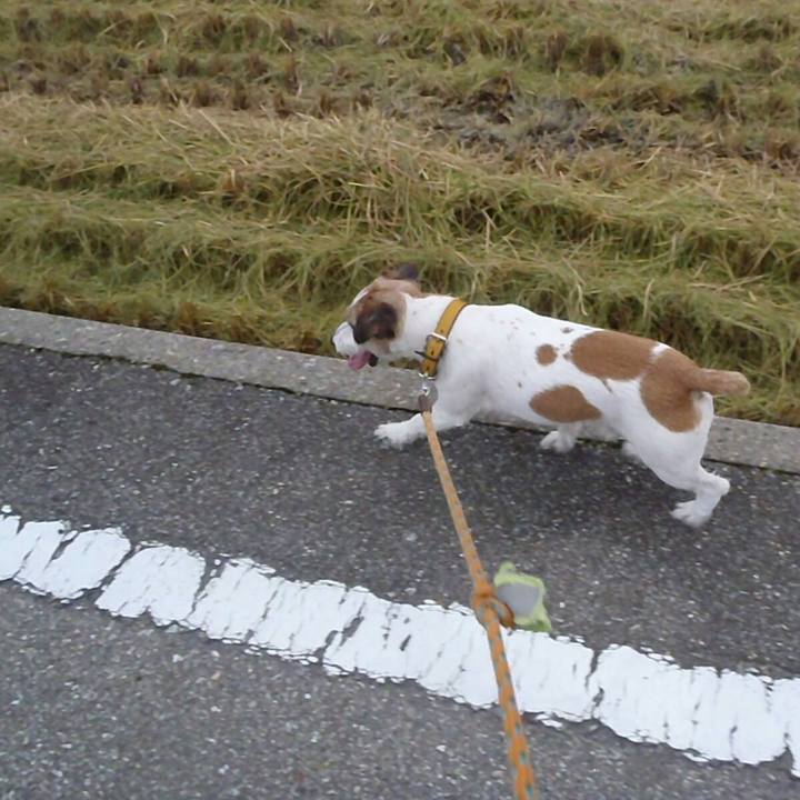 F993fc84 7a10 4b62 b905 0e1cfa965171