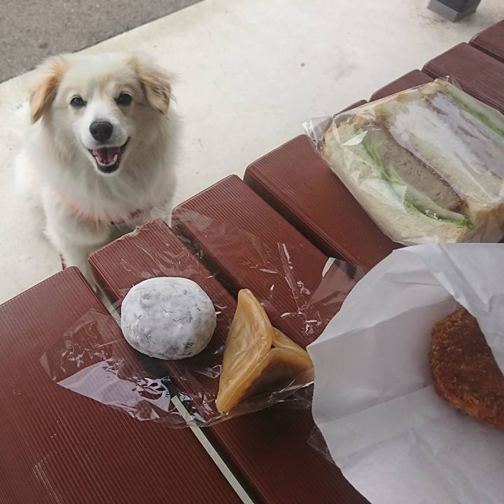 F9956e0d 96d5 4874 9cf3 a520dbfd2588