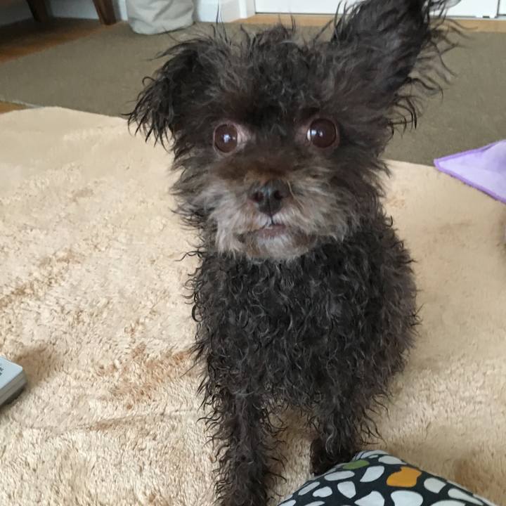 F99590a0 a384 4ce7 a958 abcdab59de59