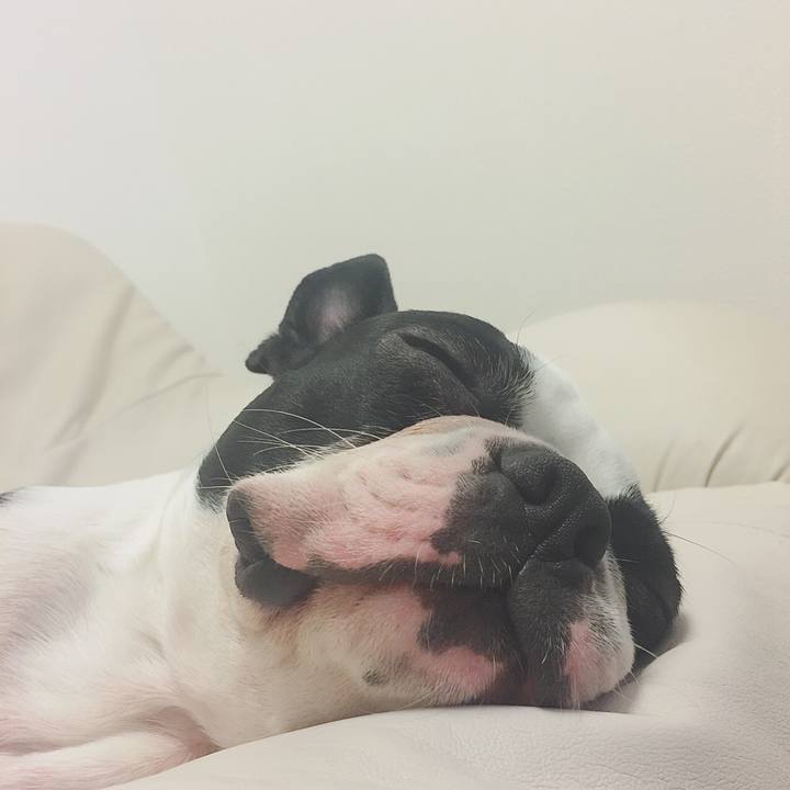 F995c23e 196b 4e3f 9ae8 05ebb79dc00e