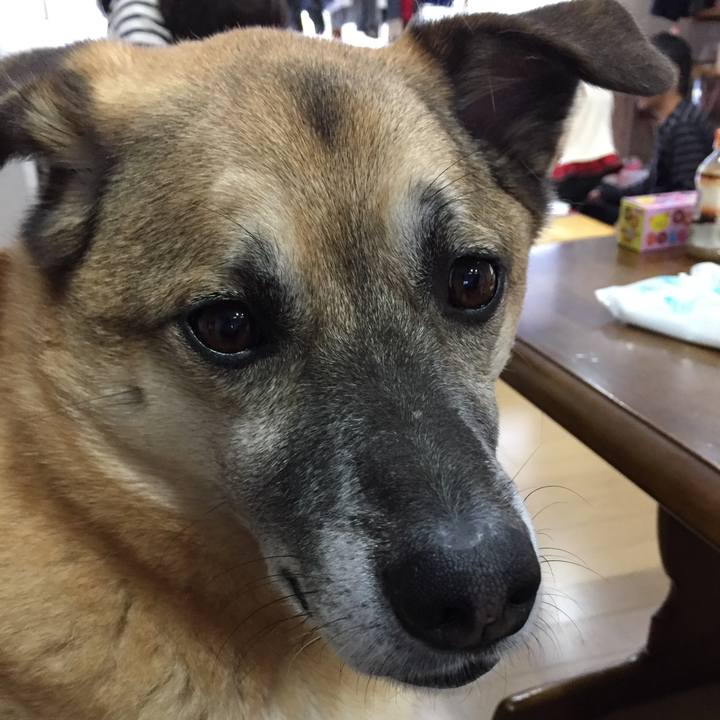 F996fb00 63f2 4a62 95a4 674c22874447