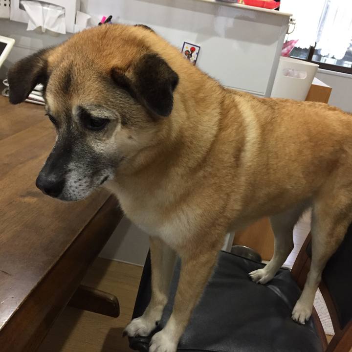 F997154f 7f28 40bb 81c8 bcf9e1293ad9