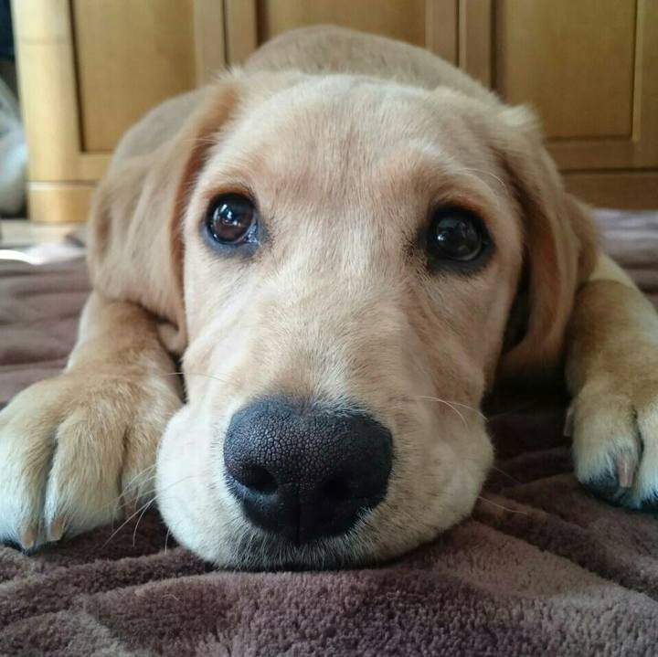 F997387a 9c05 431e ab13 31b20e41d424