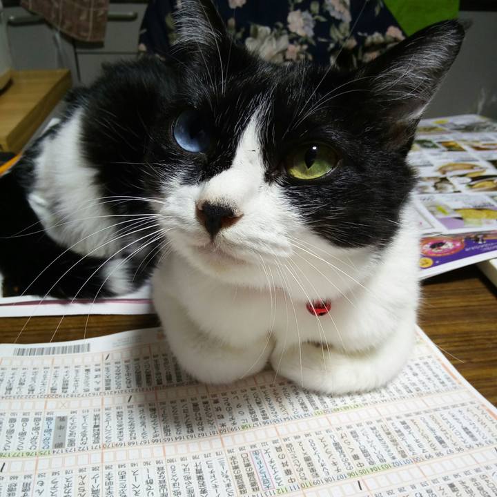 F997ebf9 5f20 483e 8638 2367391b4464