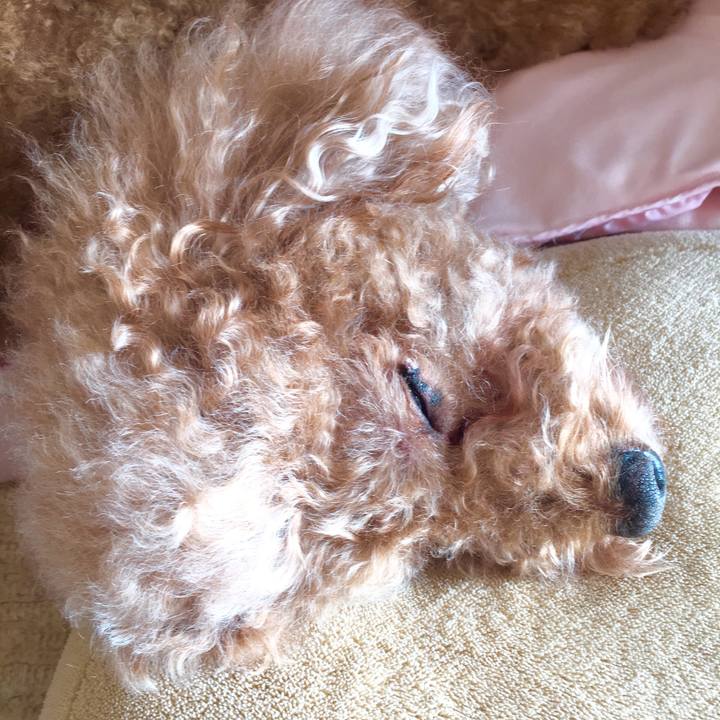 F9980a88 56ca 4c7b 97cf 622a5e8a17c0