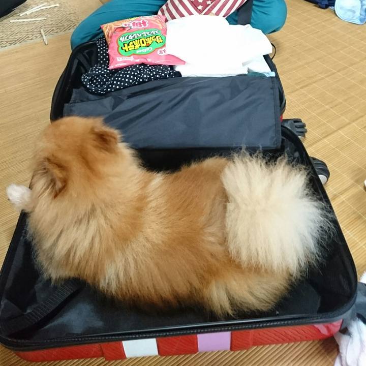 F9985e0f ae84 4480 a399 687a1d5e10d3