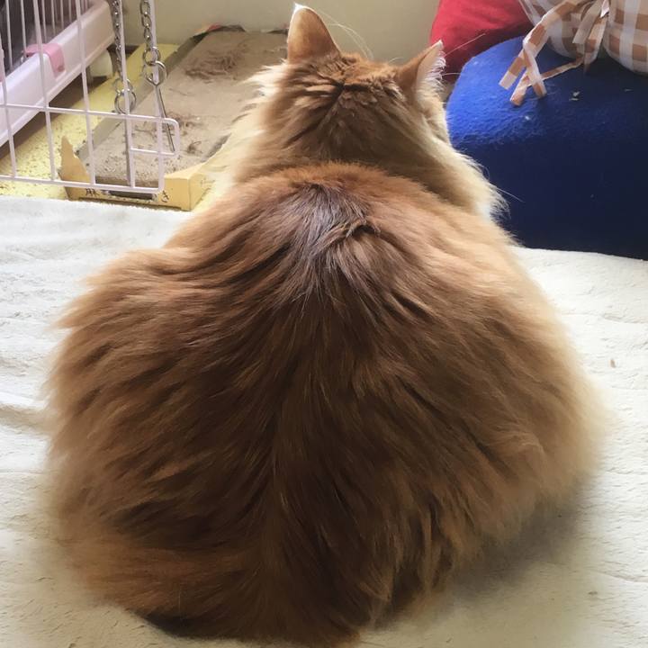 F9987da6 01b4 49c8 9444 4e4ddb2a61a7