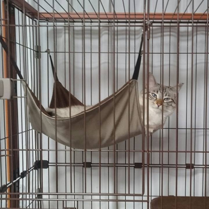 F998abd2 39e8 49f9 9a58 afbb809aee68