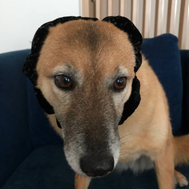 F998bdfe 2823 474e 8cff a86291614e8b