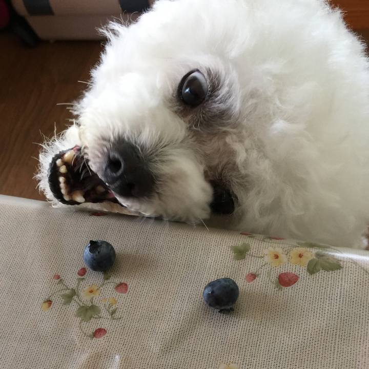 F998d5c9 aae3 47e3 af04 10bfd5d8dff3