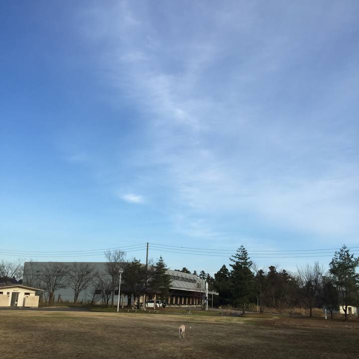 F998f115 2a0c 4856 8d6b da8a73c9ad7c