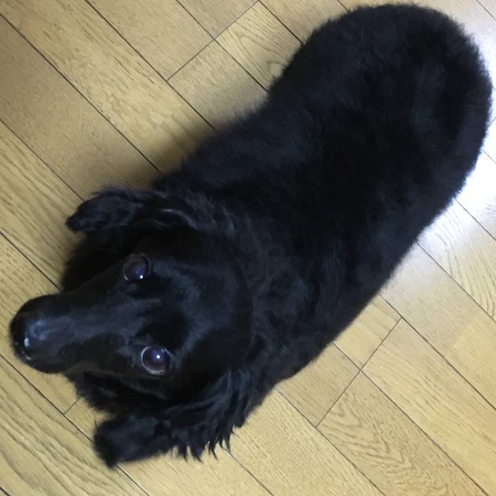 F99985a5 40ba 4566 9240 d70ba5e7a6b9