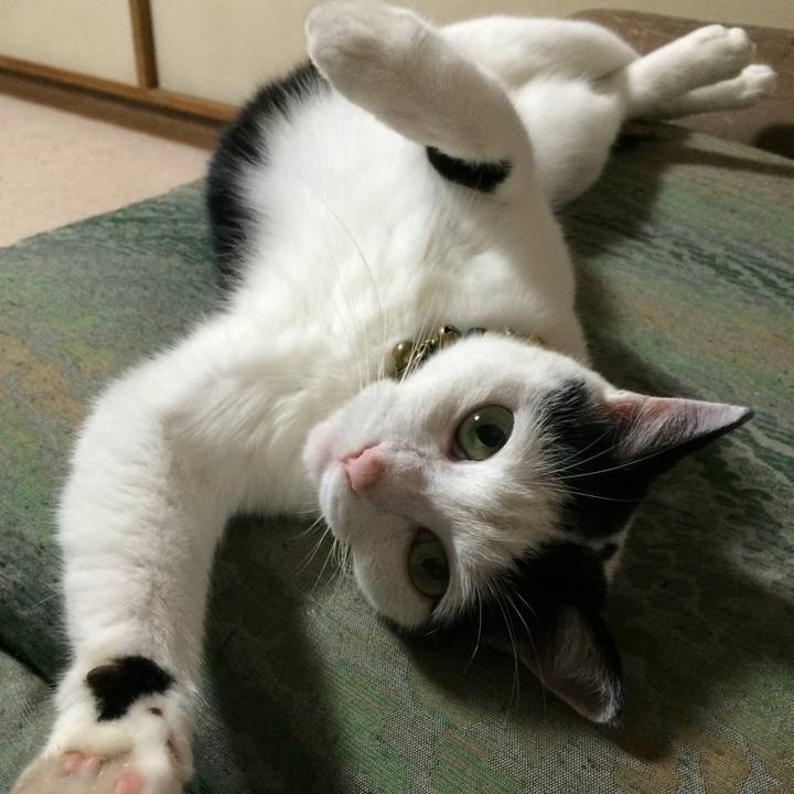 F99b795e 122e 451e bffe ec448c9ee1f6