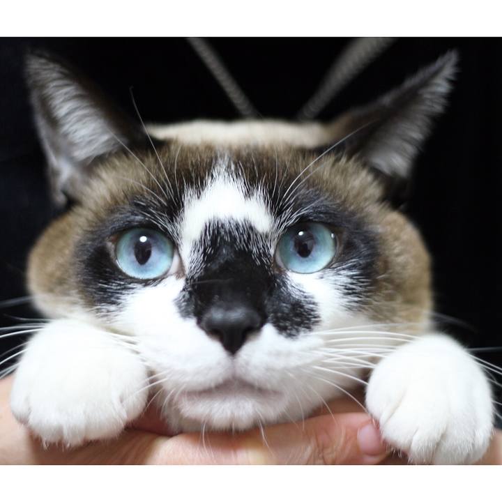 F99bb6b5 1c75 4546 a37b ef140759770f