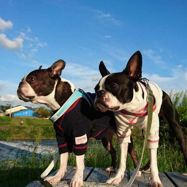 F99be2bd 040d 44d6 8158 e60757e816ba