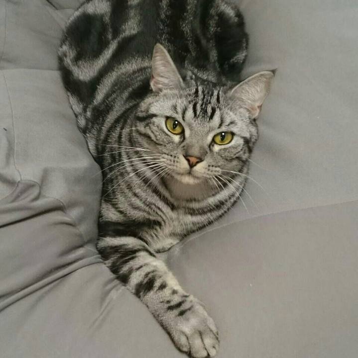 F99c52ec 9bd4 4fd0 9e7c e73ee971d727