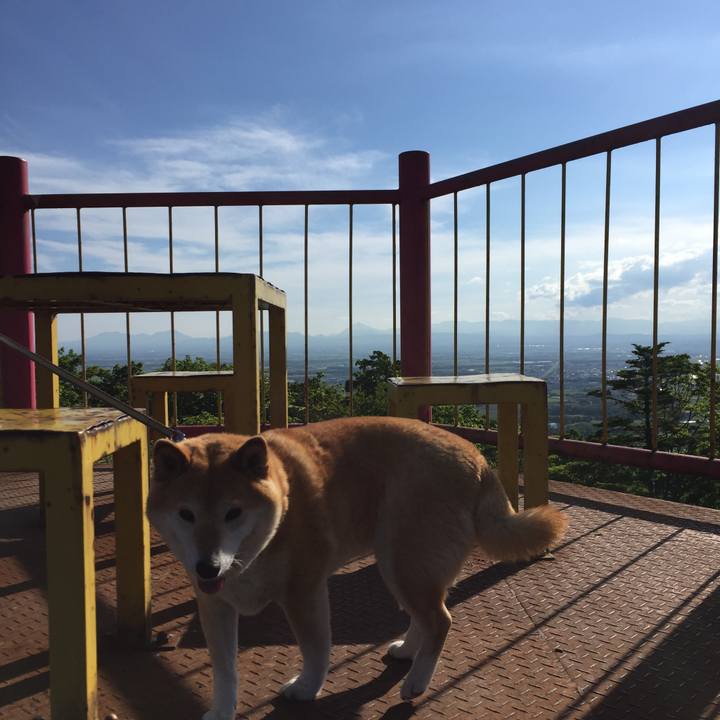 F99c6cdf 60f9 42df 8167 9e78c708164f