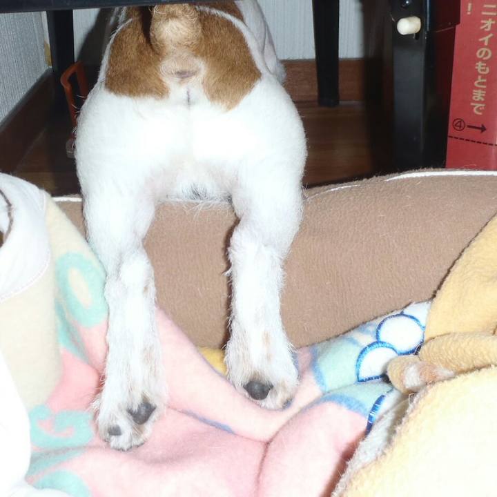 F99d0b92 a481 4d30 b0ce 4bf75b70123a