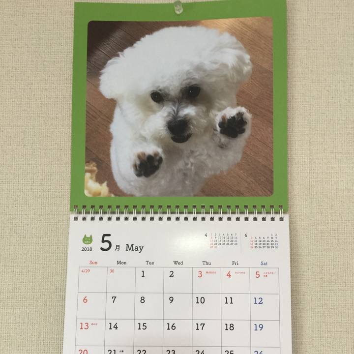 F99d3ff8 3e0b 4df2 b407 ce65e90402b8