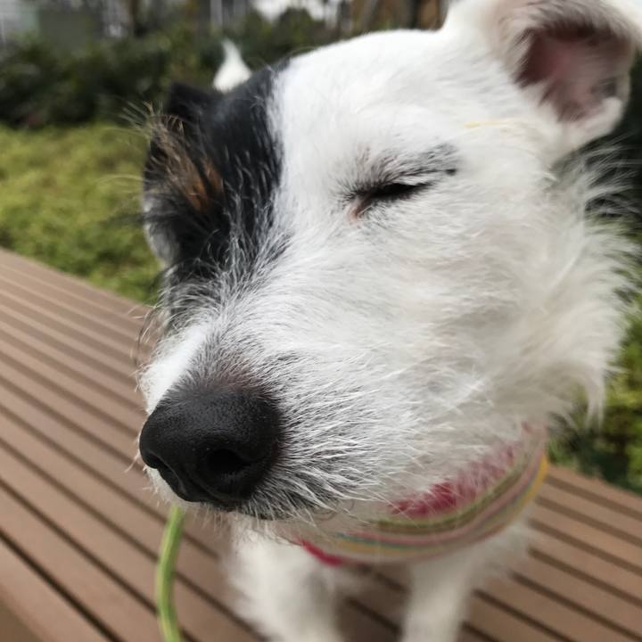 F99d6d04 d586 47ce 850c 4f82821c9d47