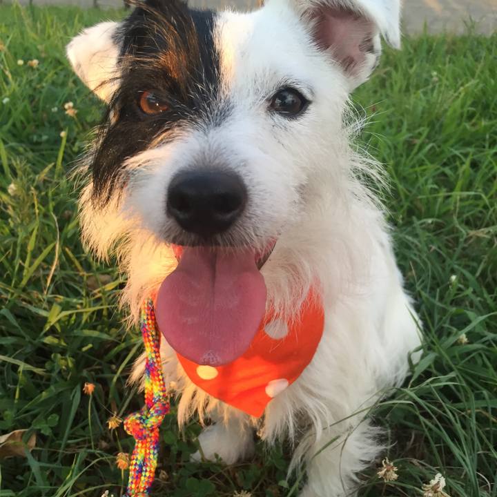 F99d7563 c719 4c27 9992 5f6578328d1d