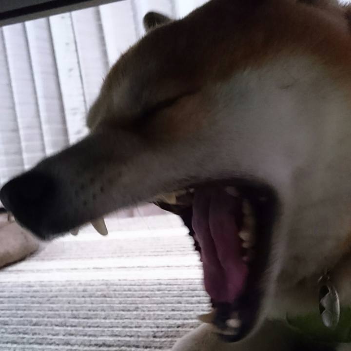 F99d7599 2596 49d1 a792 e8b56d9ee927