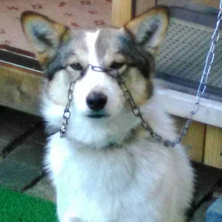 F99dd2b3 dae0 43d9 a1c8 b8b4284c93b3