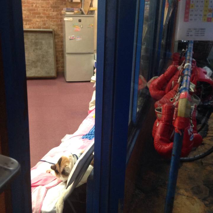 F99de792 27c6 47bf 9a73 f1f7a2a3765c