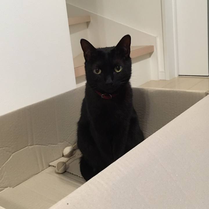 F99e2032 d1bb 4ba8 8aee 726b4a5c0770