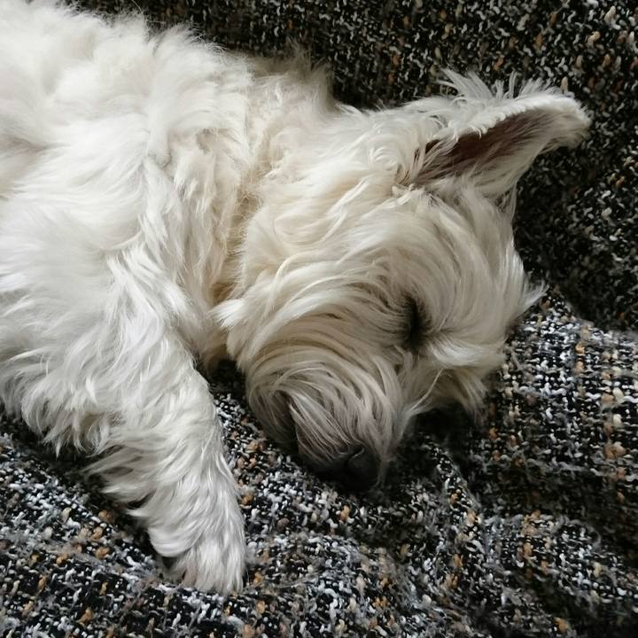 F99e461d f592 42c1 8194 d925f4b4b2d9