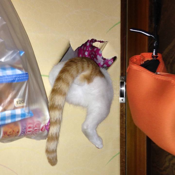 F99e6f7a 6bcd 4e8b bb83 17ccaafbc5ec