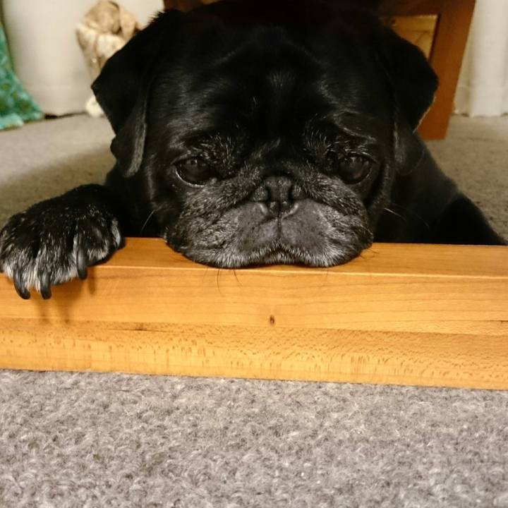 F99e9f45 ce9c 4ca5 8c2e 6913ba0cf41a