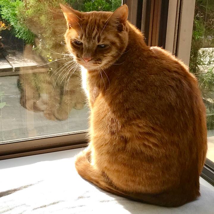 F99eace5 f7bc 469a 9425 28a314e6de4c