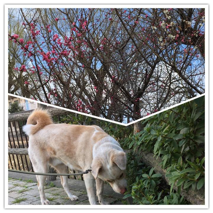 F99f3fad 016b 4c6f b9c6 67d2d2c5f753