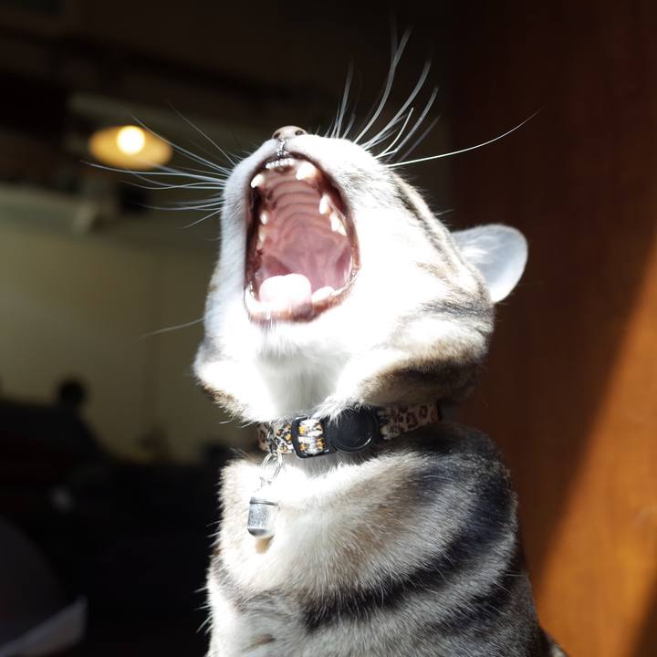 F99f647b 99e1 4c4d 8c4d b12109ddd019