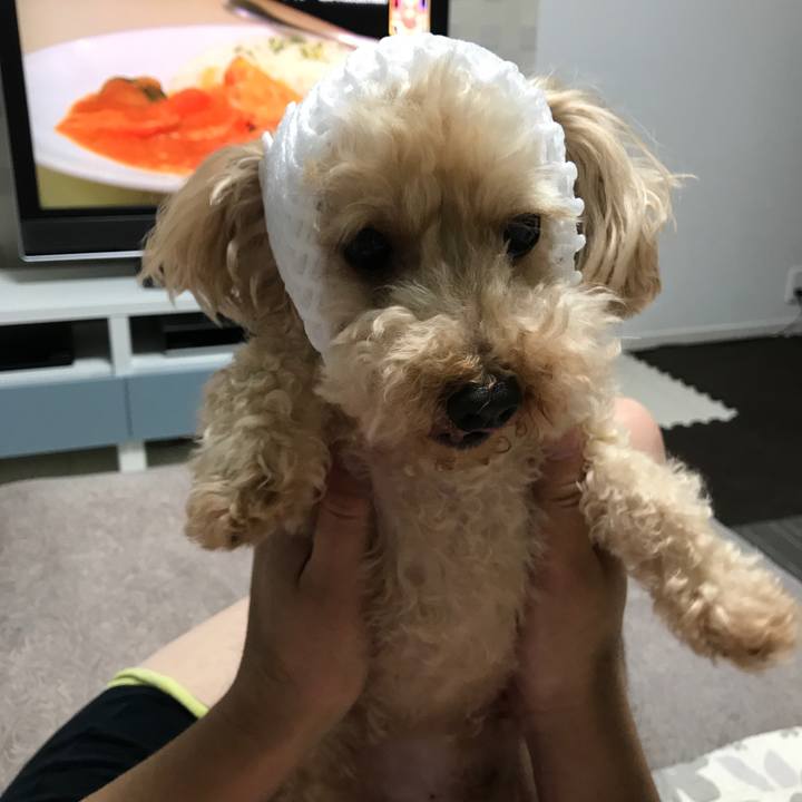 F9a0167b 0d9a 41bf bb26 99845aed1445