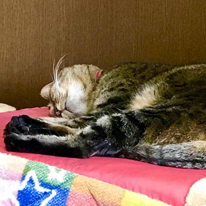 F9a0ad13 69d6 4311 9b3d de8ac5bf61b0