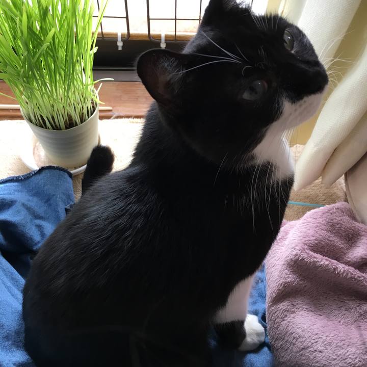 F9a0b6a1 40e1 498f 871e 16fbe29219cb