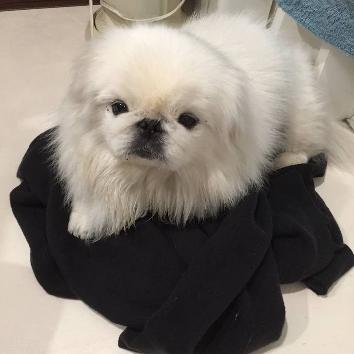 F9a0f35f 7286 467c aaf2 02296ecfb911