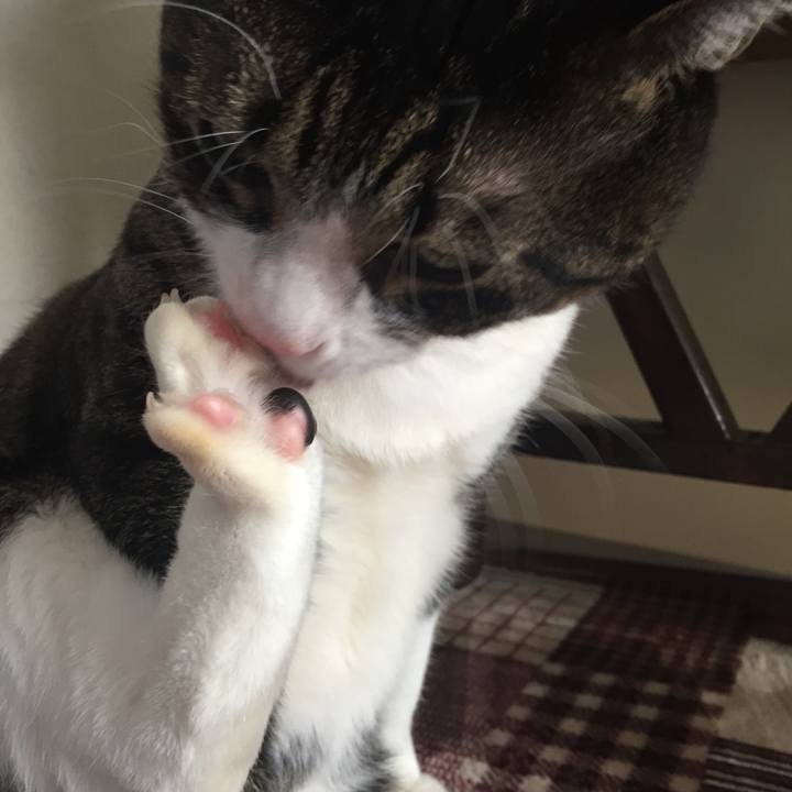 F9a1118f 45ee 4a13 9804 389524741179