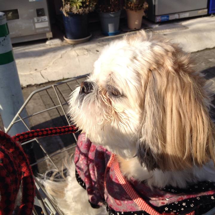 F9a13ef4 dfed 4eef 8801 5b114767d58a