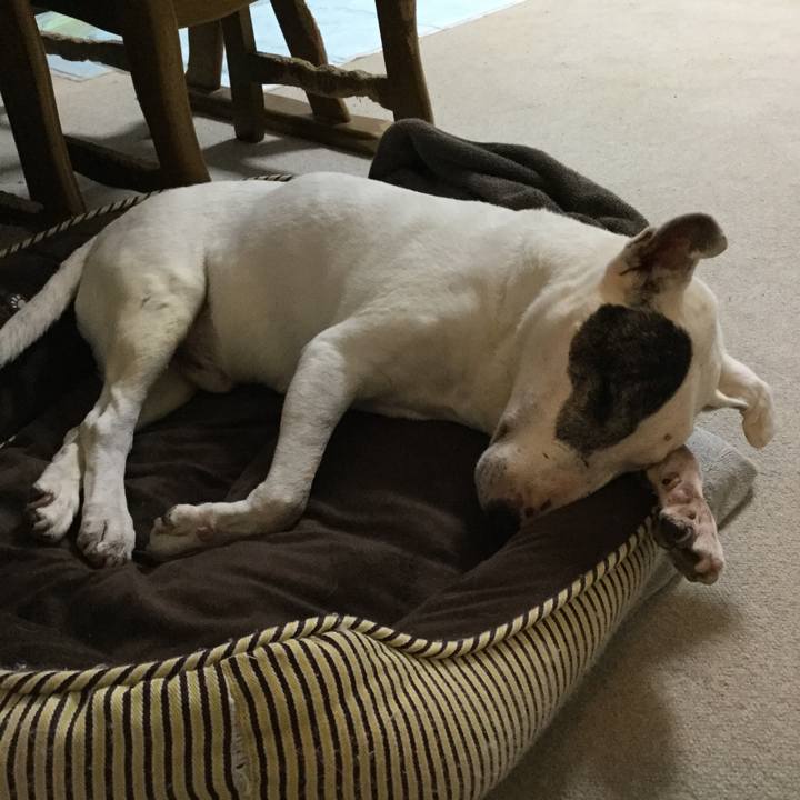 F9a1cb69 b869 41cc 8184 7043ab1b1a72