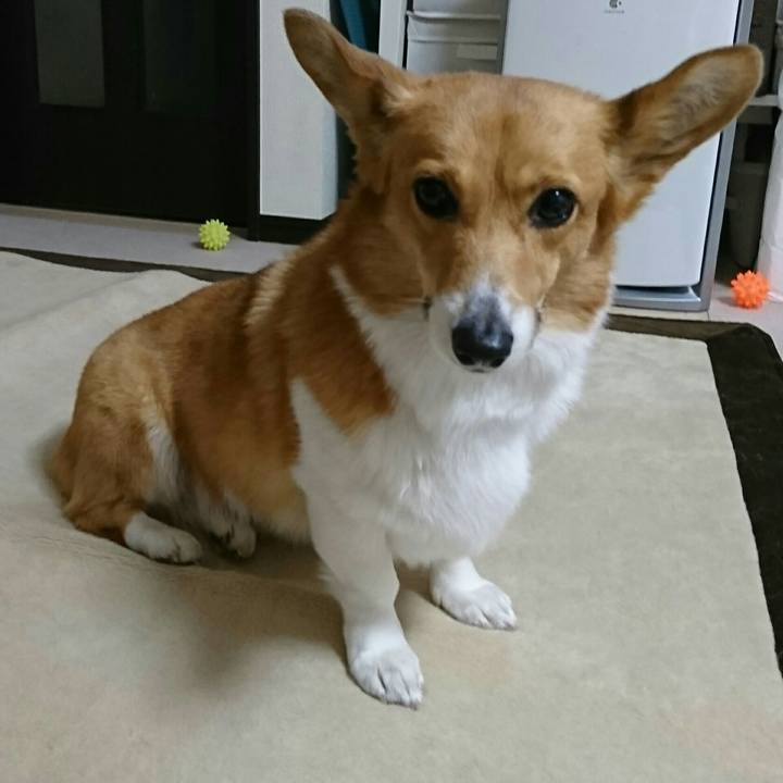 F9a246fd bd38 4184 8c19 8557a613f8ef