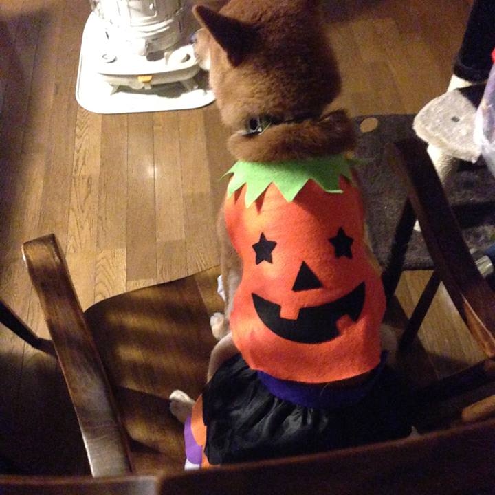 F9a2ab1d 898e 485c b193 2514fa4a6b45