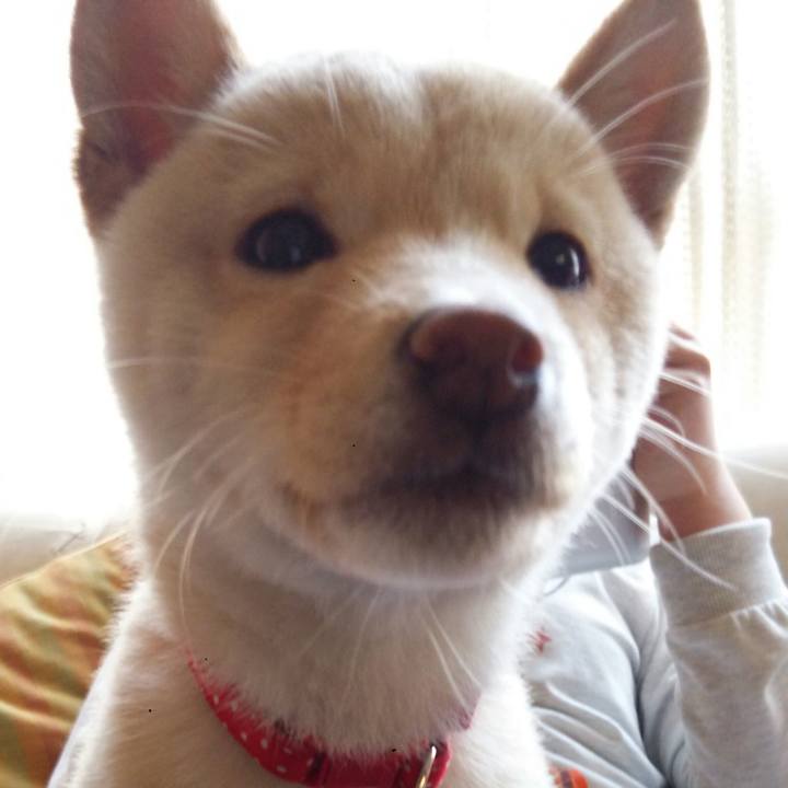 F9a31498 881a 4117 99db 331e05e13fb9