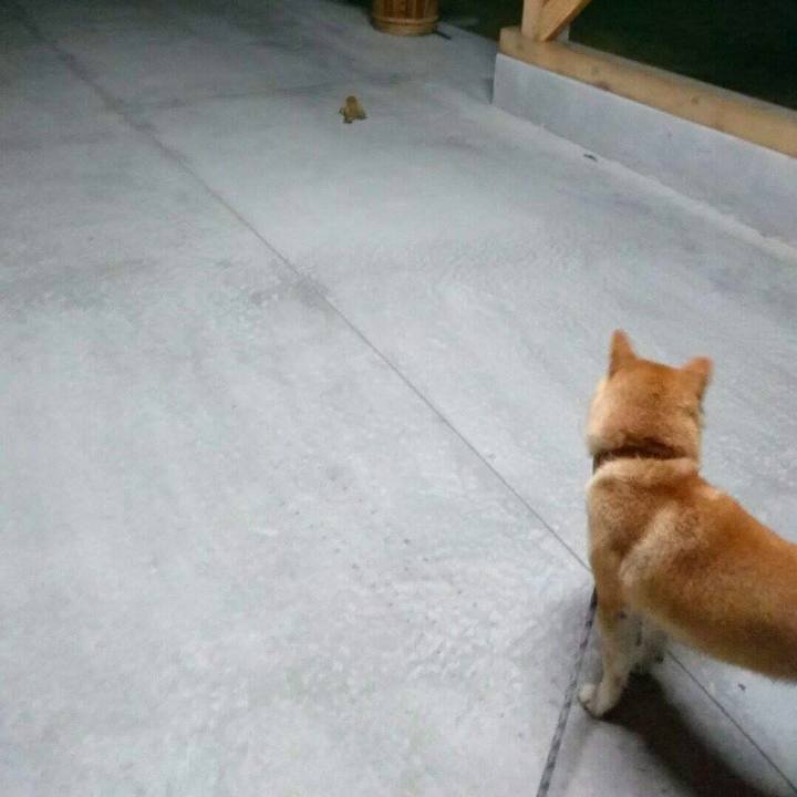 F9a32665 a912 4d02 a553 9c67cb4a83ea