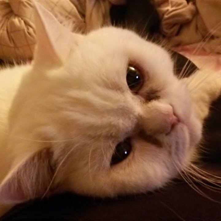 F9a3a207 5f8b 44f3 a457 99e69c9fb455